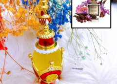 tinh dau nuoc hoa dubai roya amber aoud minhphucdubai mpdubai